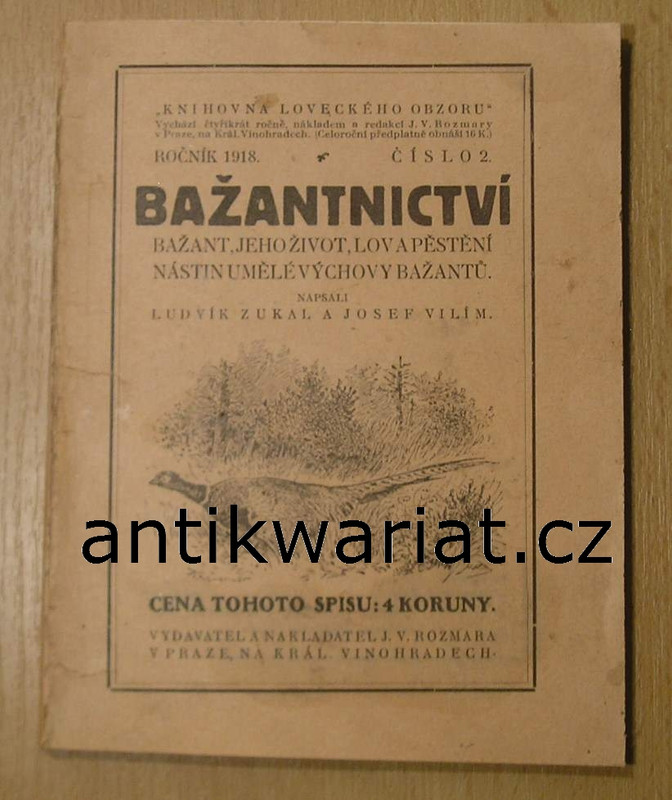 1wa Image00051