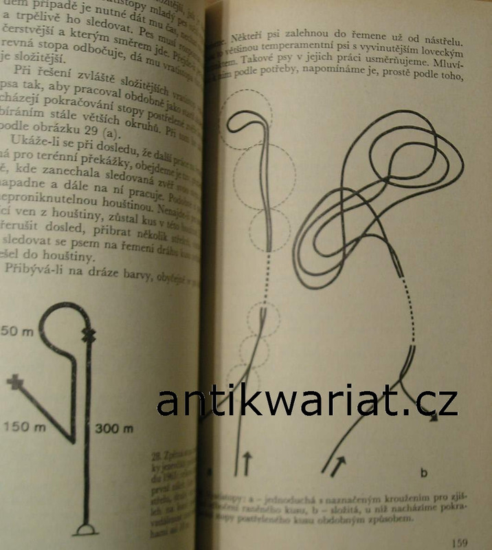 1wa Image00200