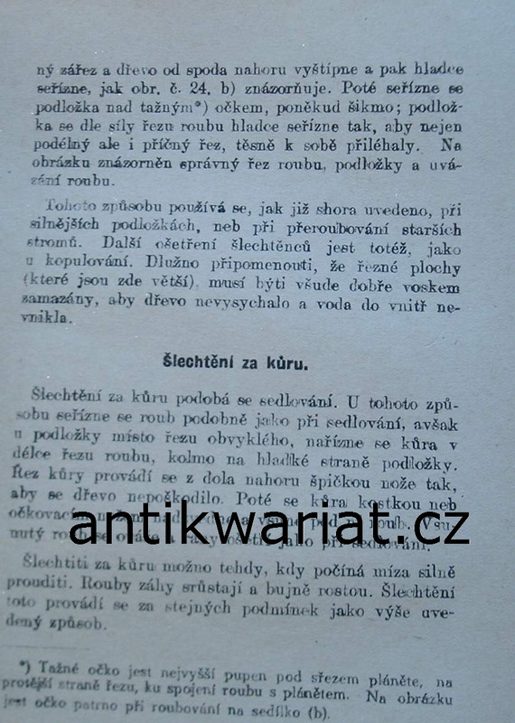 1wa Image00002
