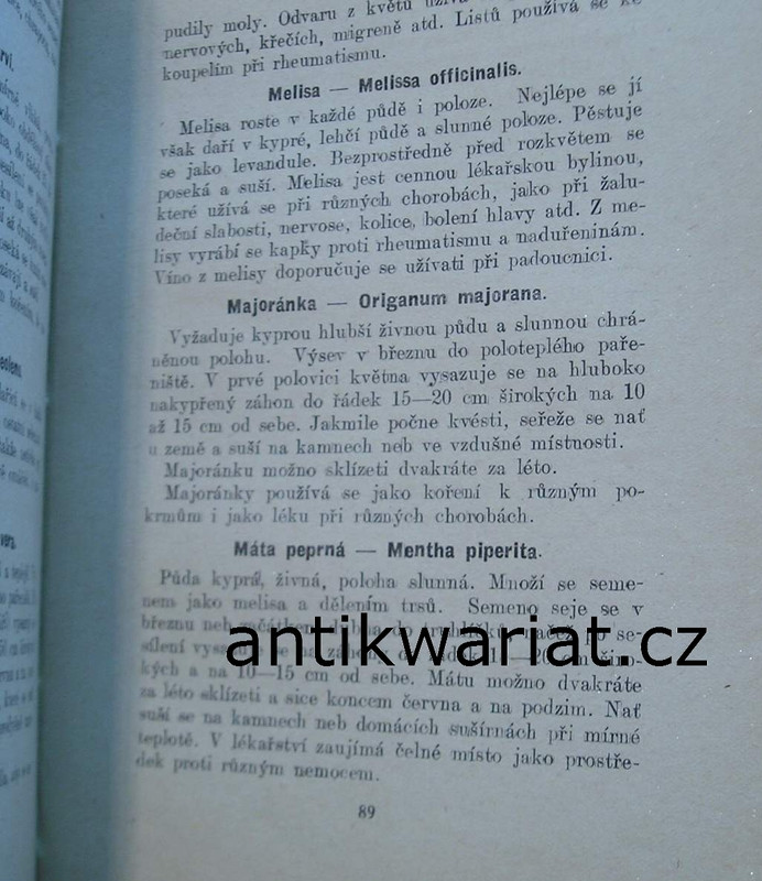 1wa Image00005