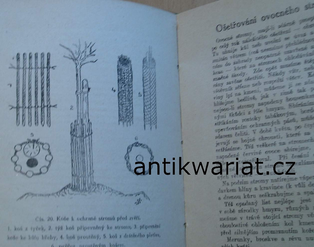 1wa Image00022
