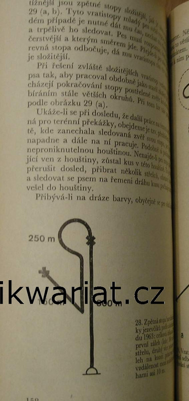 1wa Image00201