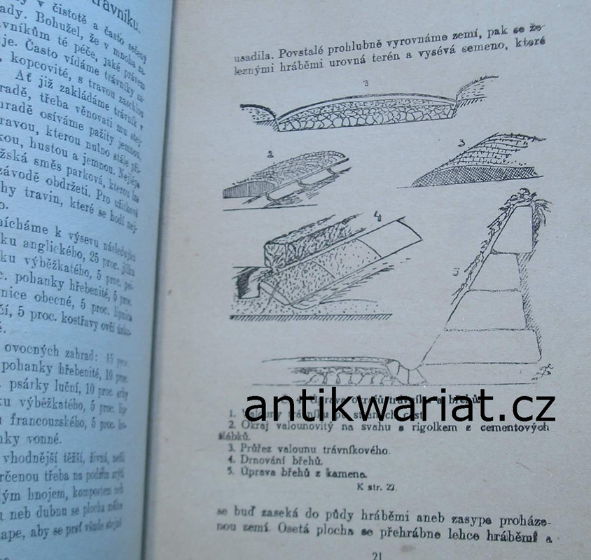 1wa Image00016