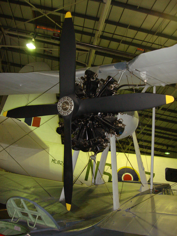 Detalle del motor Bristol Pegasus II usado por el Walrus