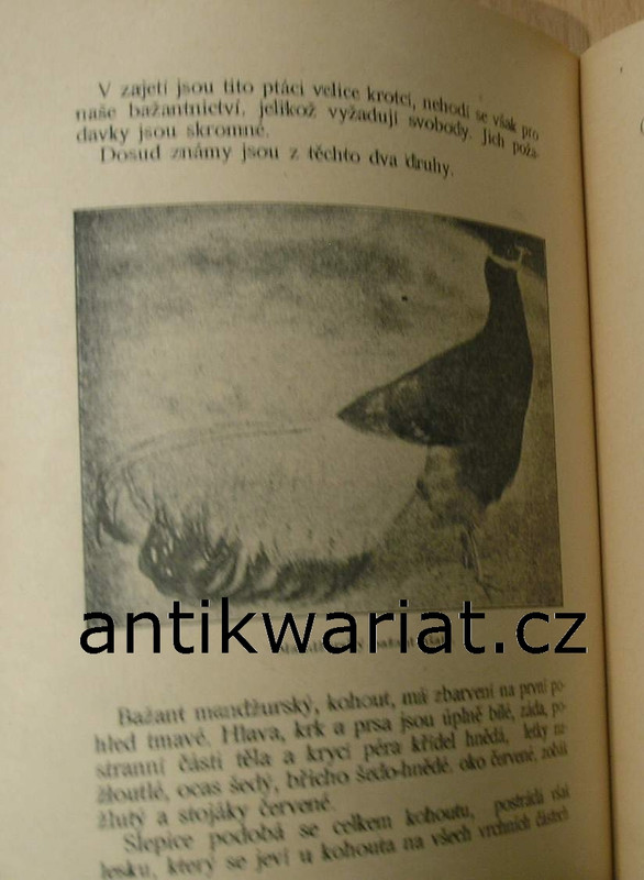 1wa Image00057