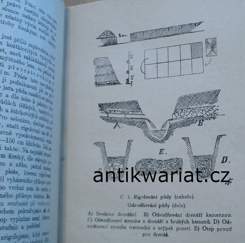 1wa Image00019