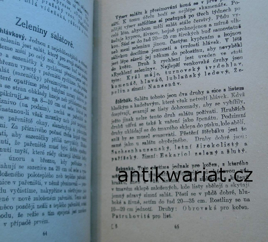 1wa Image00024