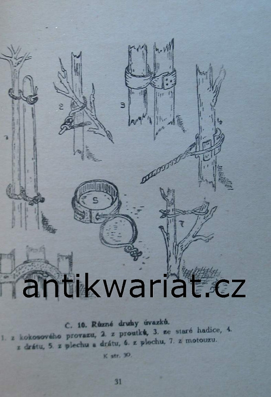 1wa Image00026