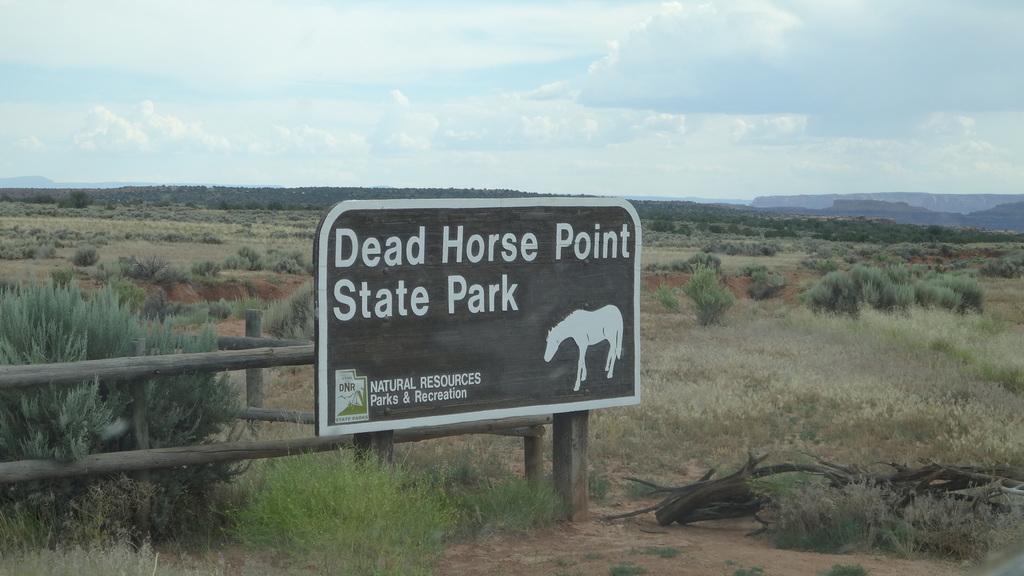 LOWER CALF CREEK FALLS, DEAD HORSE, CANYONLANDS, MOAB - 35 Dias en solitario por la West Coast americana. (20)