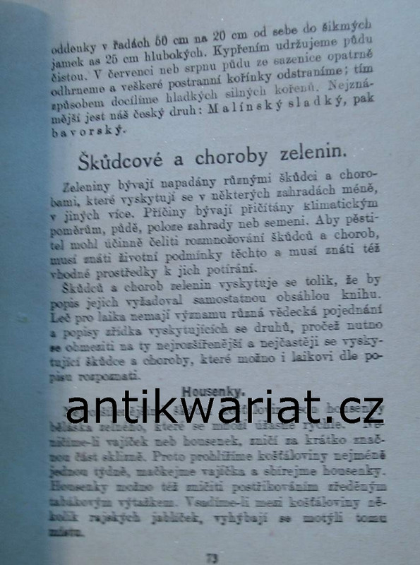 1wa Image00007