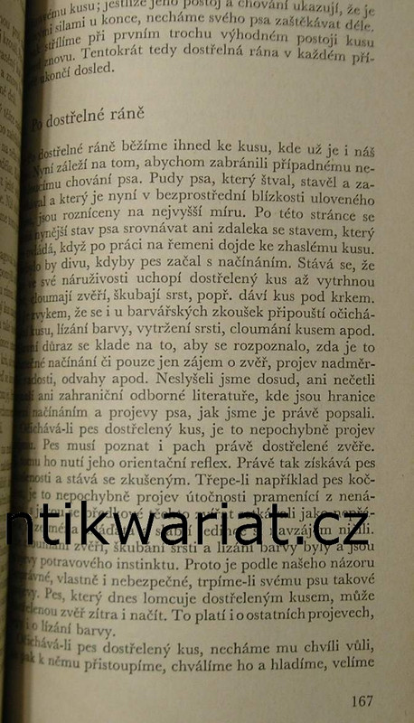 1wa Image00199