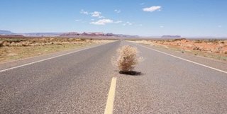 [Bild: tumbleweed.jpg]