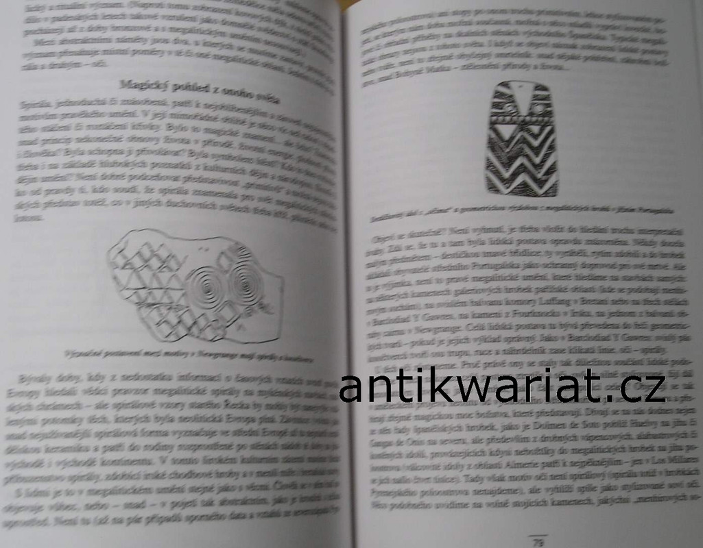 1wa Image00222