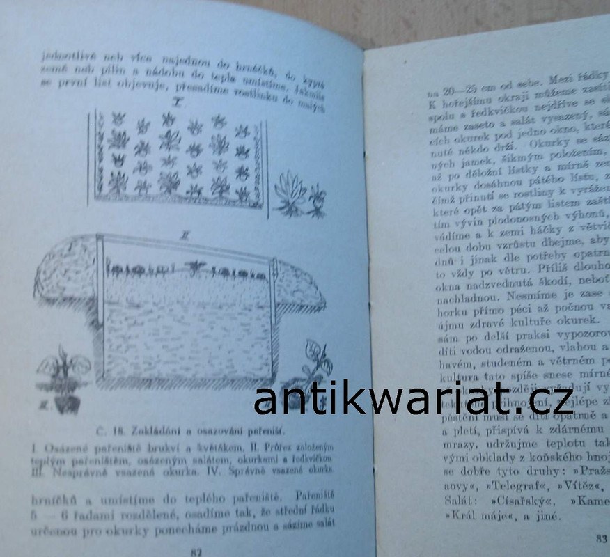 1wa Image00023