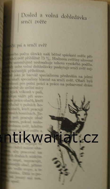 1wa Image00198