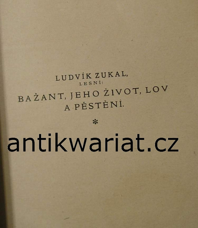 1wa Image00059