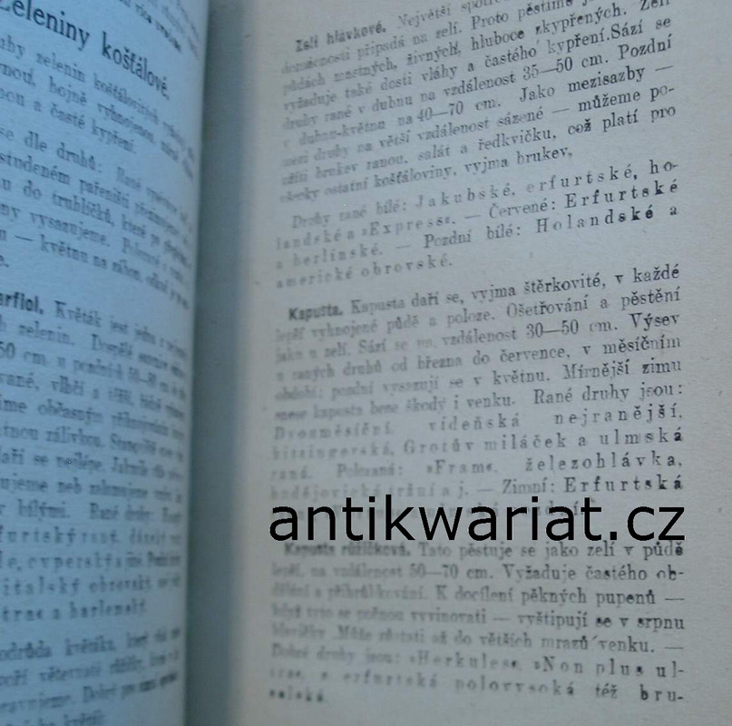 1wa Image00009