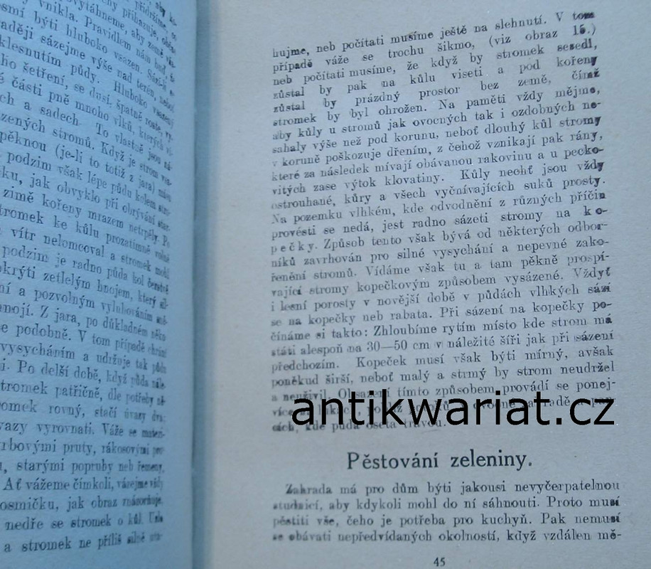 1wa Image00025