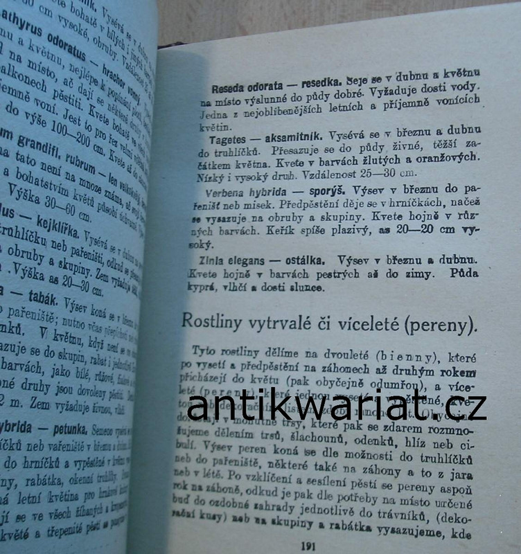 1wa Image00020