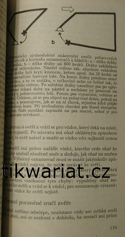 1wa Image00195