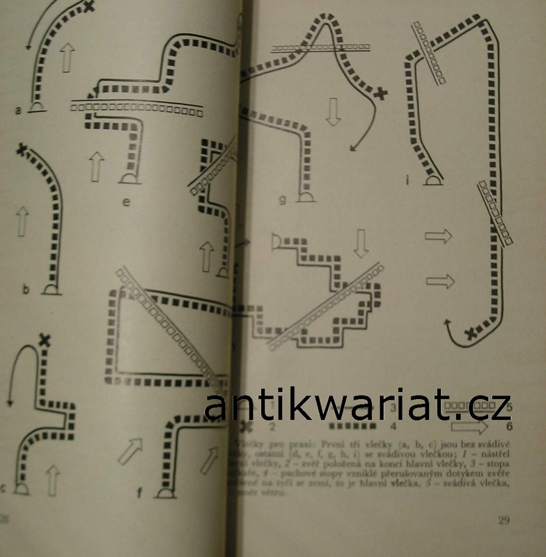 1wa Image00207