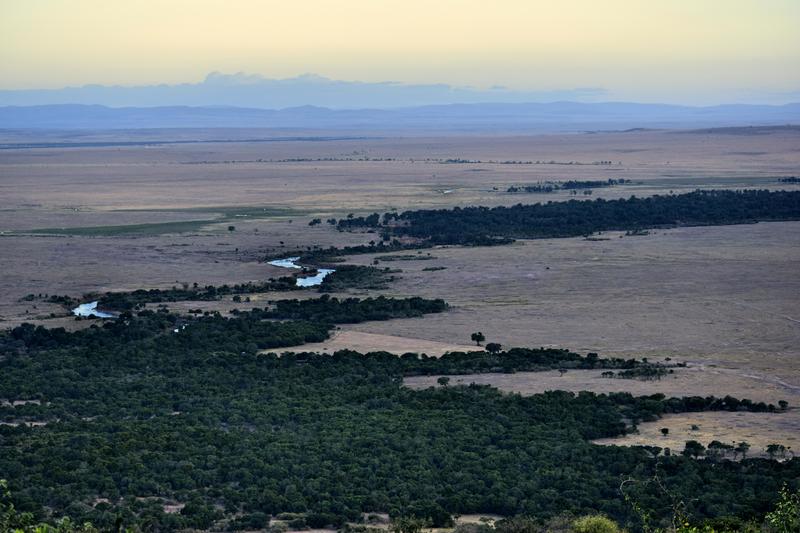 Mis días de safari en Uganda, Kenia y Zanzíbar.. Os lo intento contar - Blogs de Africa Este y Centro - Recorremos Masai Mara de un extremo a otro.. ¡Qué lugar! (48)