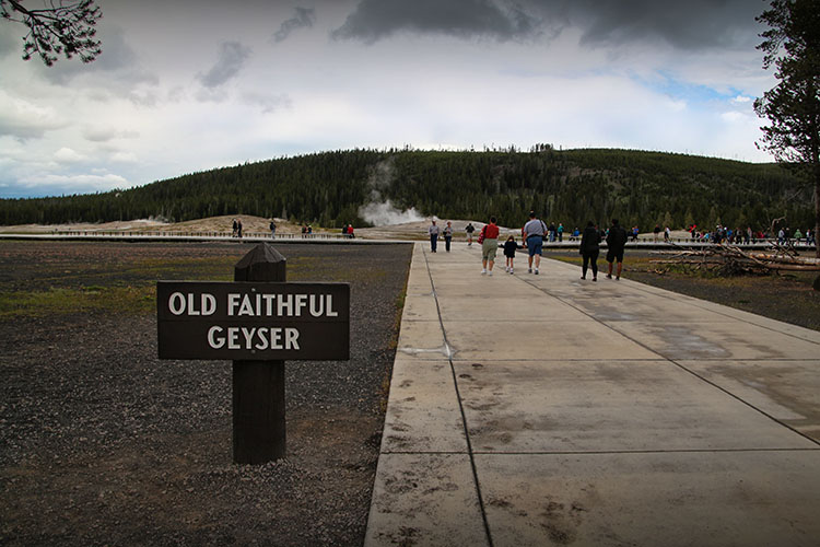 DIA 14: Yellowstone - Grand Teton - Jackson - 18 días por la Costa Oeste de Estados Unidos: un sueño hecho realidad (18)