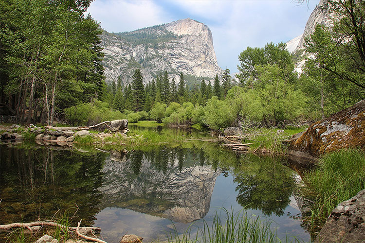 18 días por la Costa Oeste de Estados Unidos: un sueño hecho realidad - Blogs de USA - DIA 6: Fresno – Yosemite – Bishop (11)