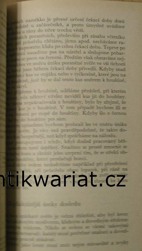 1wa Image00203