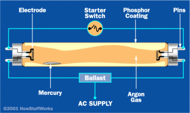 fluorescent lamp starter