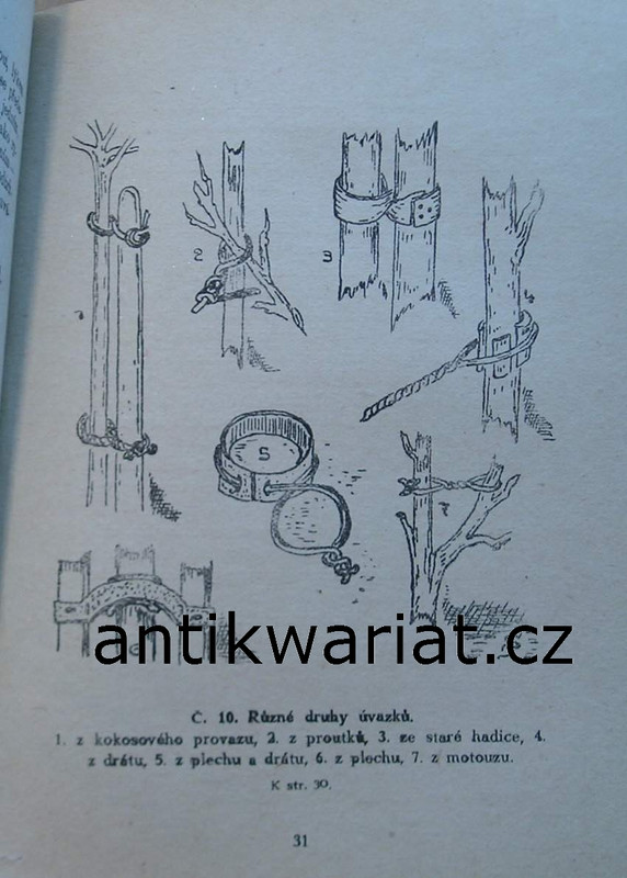 1wa Image00013