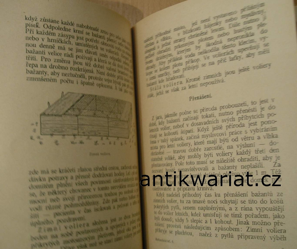 1wa Image00055