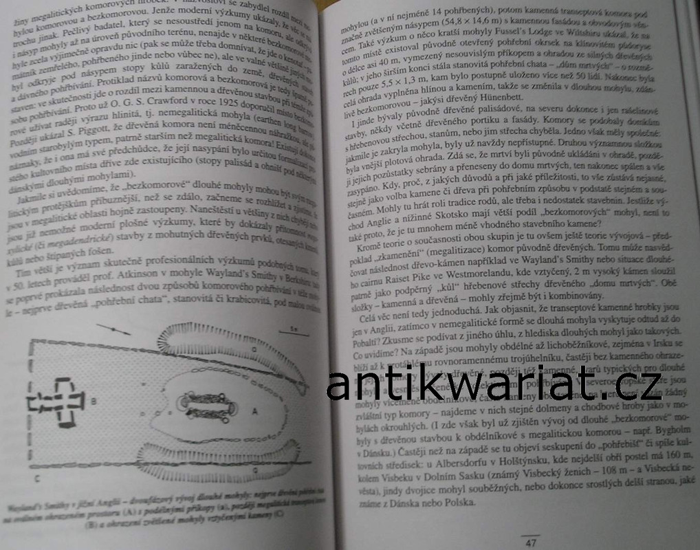 1wa Image00228