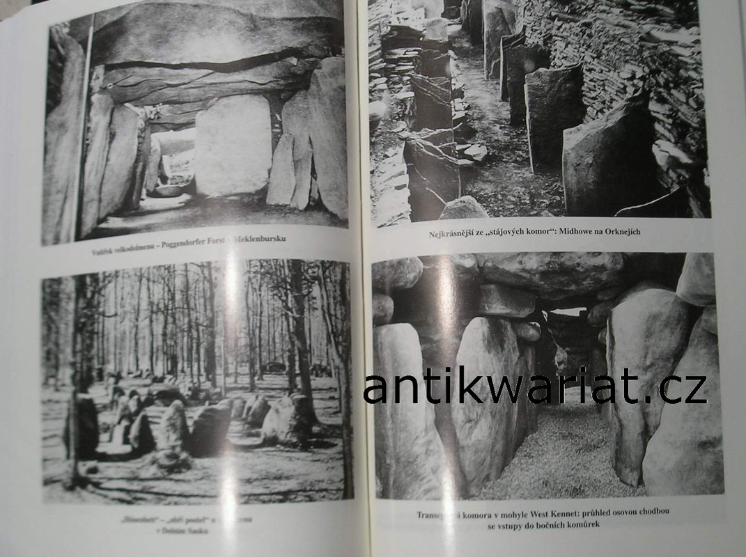 1wa Image00217