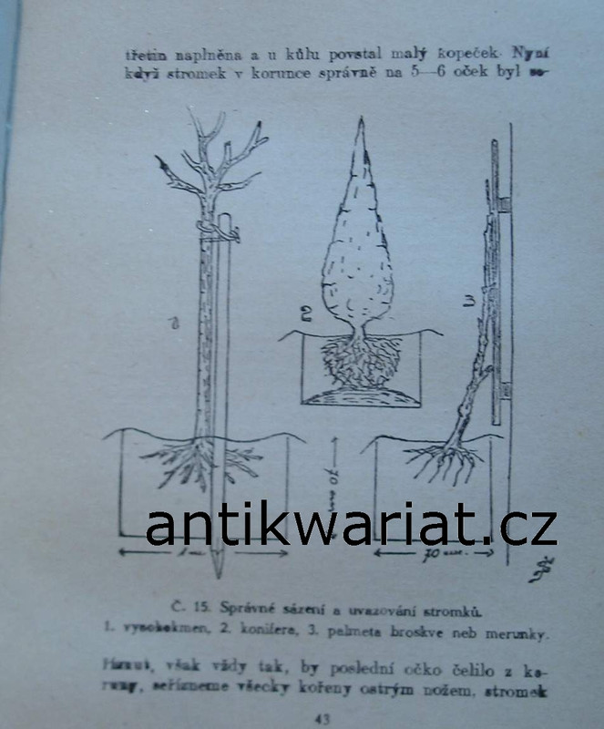 1wa Image00010