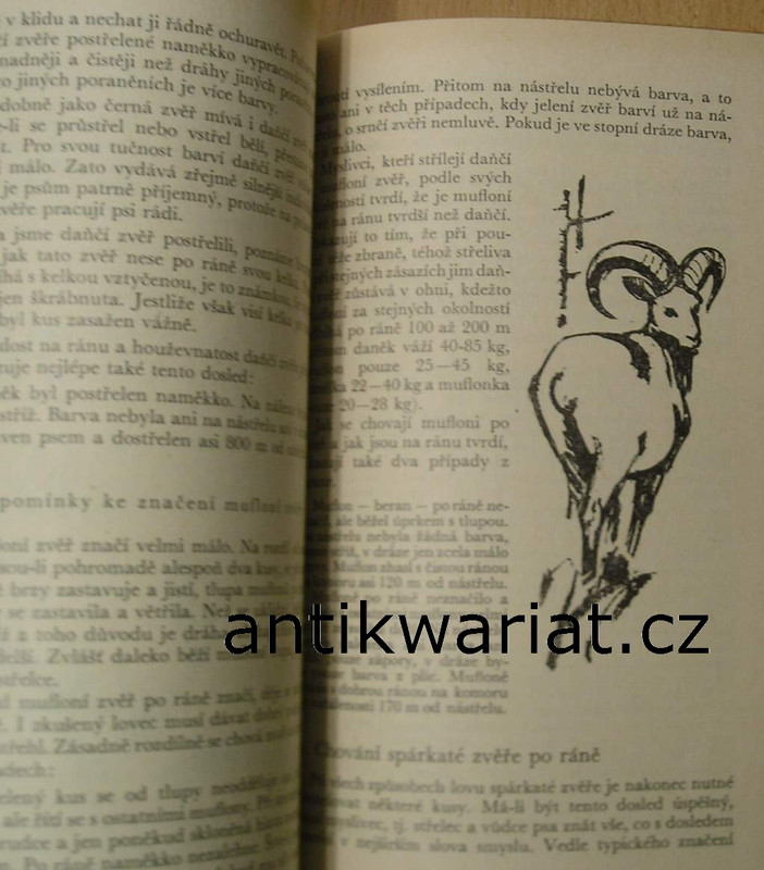 1wa Image00206