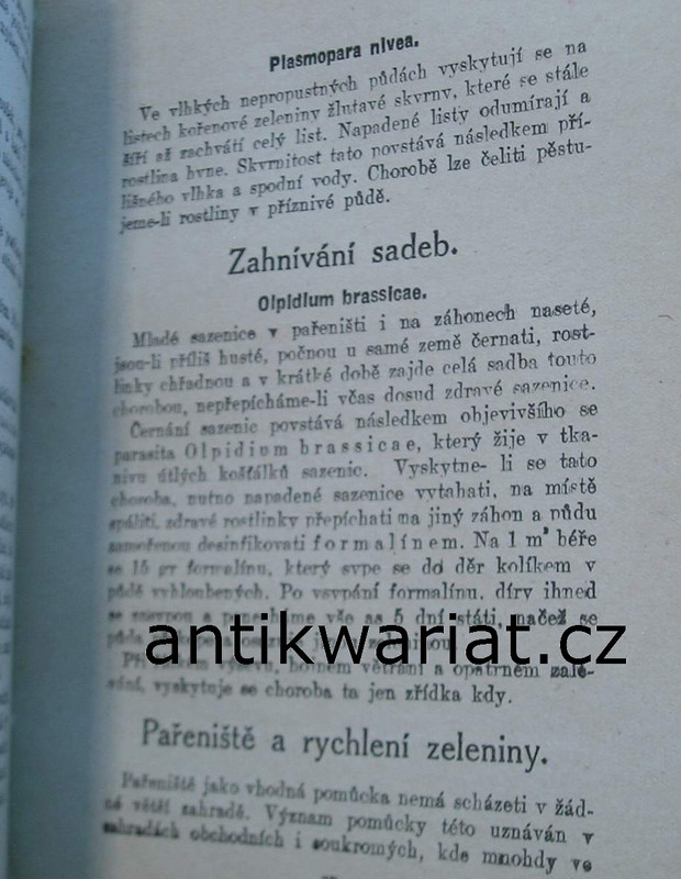 1wa Image00006
