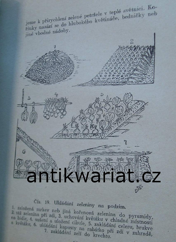 1wa Image00004