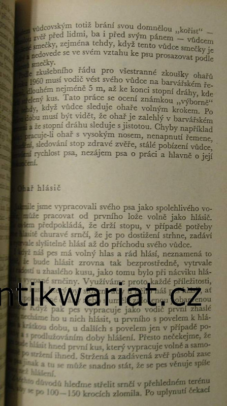 1wa Image00196