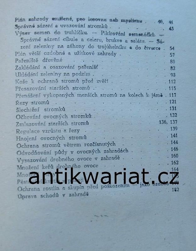 1wa Image00029
