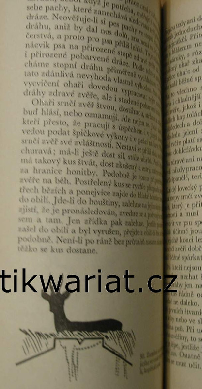 1wa Image00197