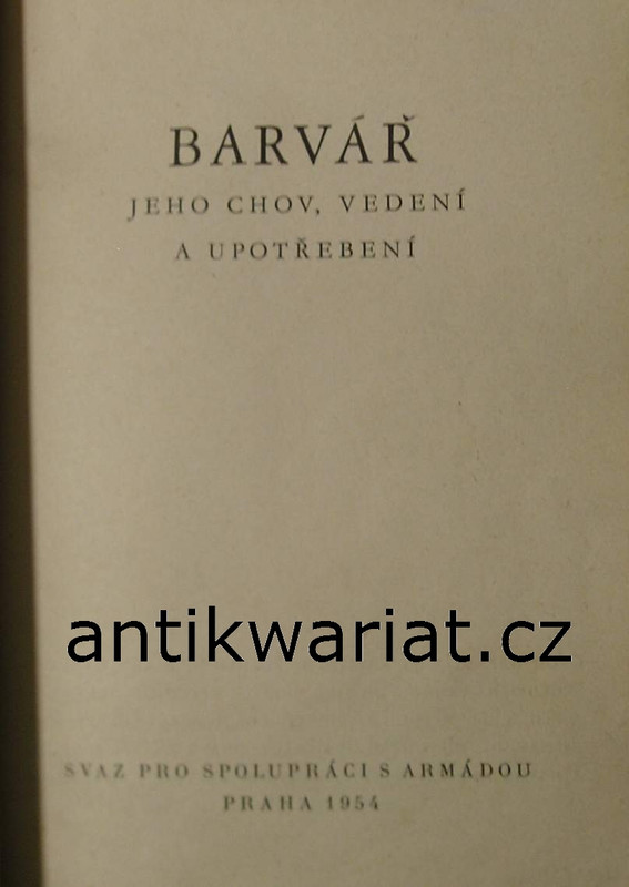 1wa Image00079