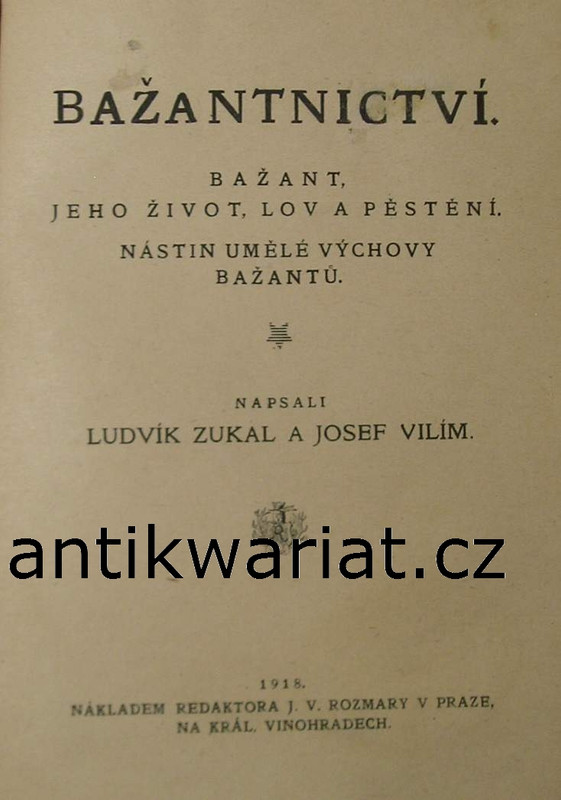 1wa Image00060