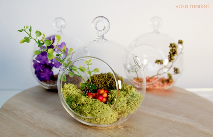 Hanging glass terrariums are all the rage