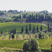 Día 5: Valle de Orcia - 6 días en la Toscana, con Niños (6)