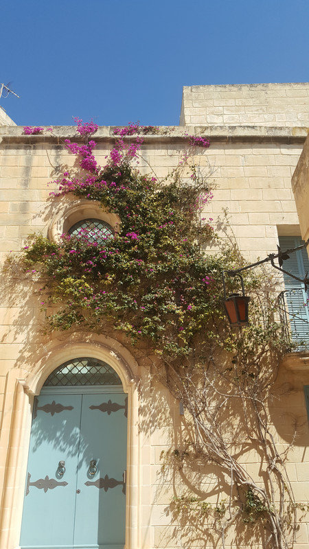 BONITA MALTA - Blogs de Malta - DÍA 4: MDINA Y RABAT (15)