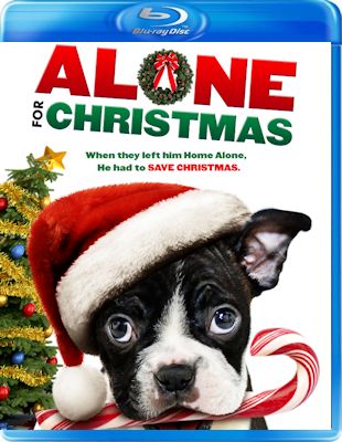 Alone For Christmas (2013) .mp4 BDRip h264 AAC - ITA