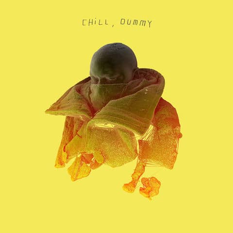 P.O.S - Chill dummy (2017) 320 KBPS