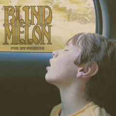 Blind Melon - For My Friends (2008).mp3 - 320 Kbps