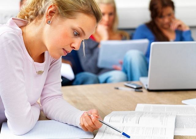 Discount essay writing service